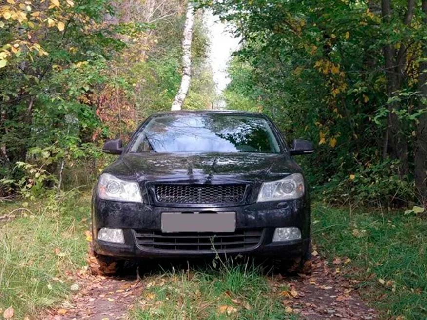 Решетка Skoda Octavia A5 FL RS стиль (пластиковая сетка) (CT-SKO-G02)